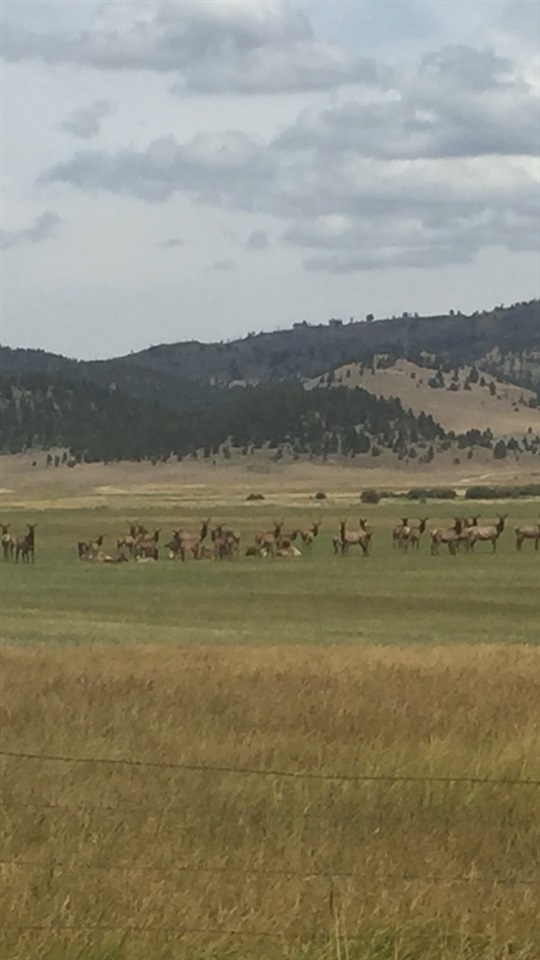 Lot 37 Aspen Valley Ranches, Boulder, MT 59632