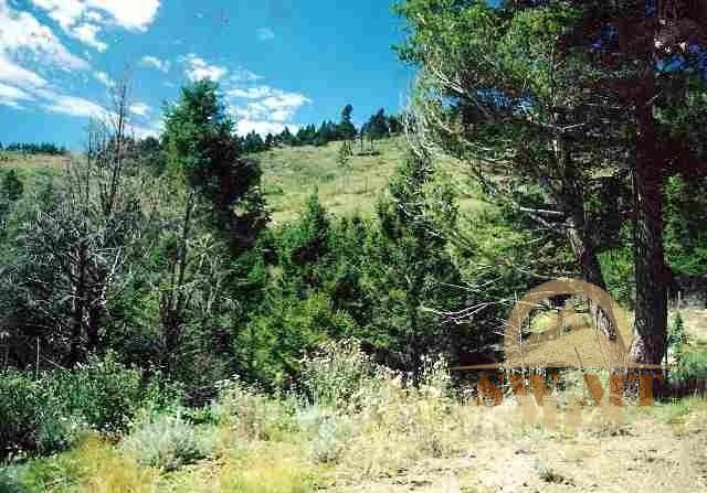 Broken Spoke Trail, Basin, MT 59632