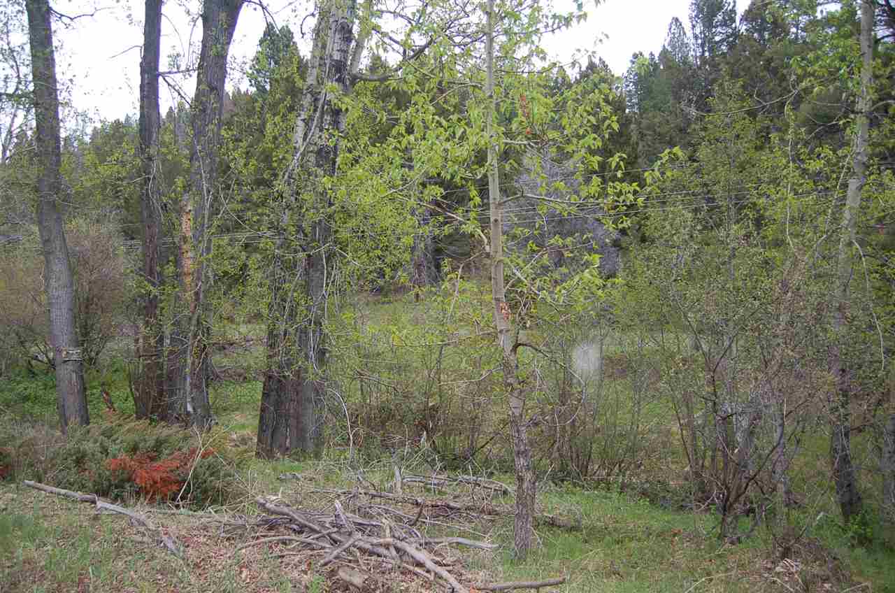 Flesher Acres Rd, Marysvl/Cnyn Cr, MT 59633