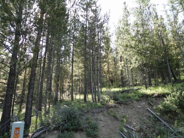 LOT C-1C TRAVIS CREEK, Clancy, MT 59634