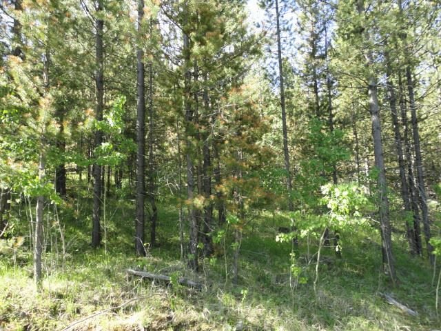 LOT C-1C TRAVIS CREEK, Clancy, MT 59634
