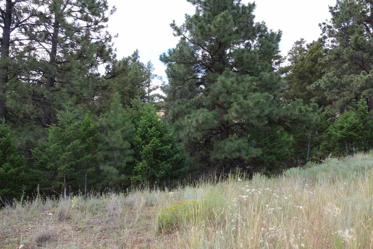 3 Ridge View Drive, Clancy, MT 59634