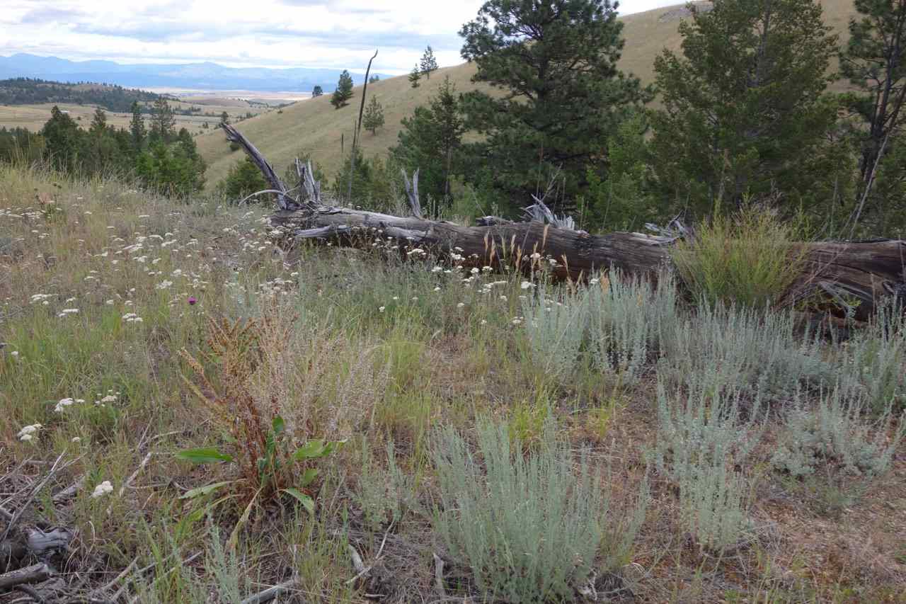 3 Ridge View Drive, Clancy, MT 59634