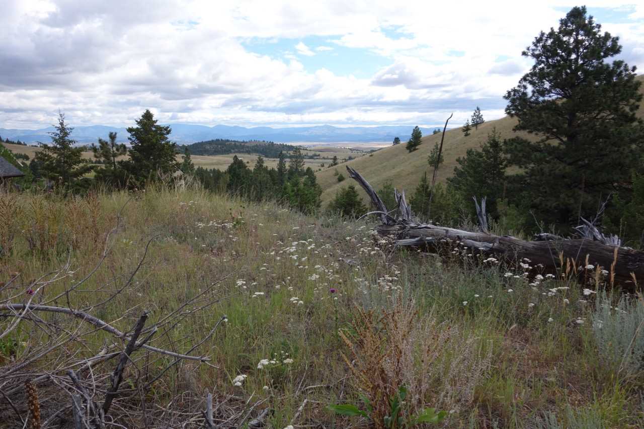 3 Ridge View Drive, Clancy, MT 59634