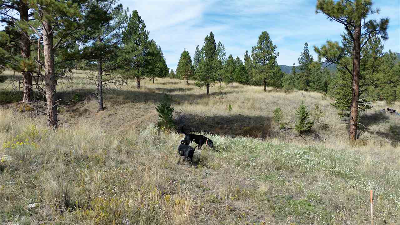 TBD2 Juniper Lane, Clancy, MT 59634