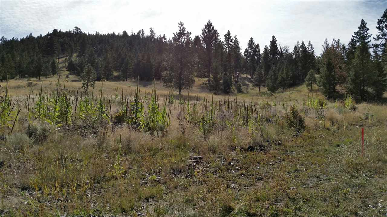 TBD2 Juniper Lane, Clancy, MT 59634