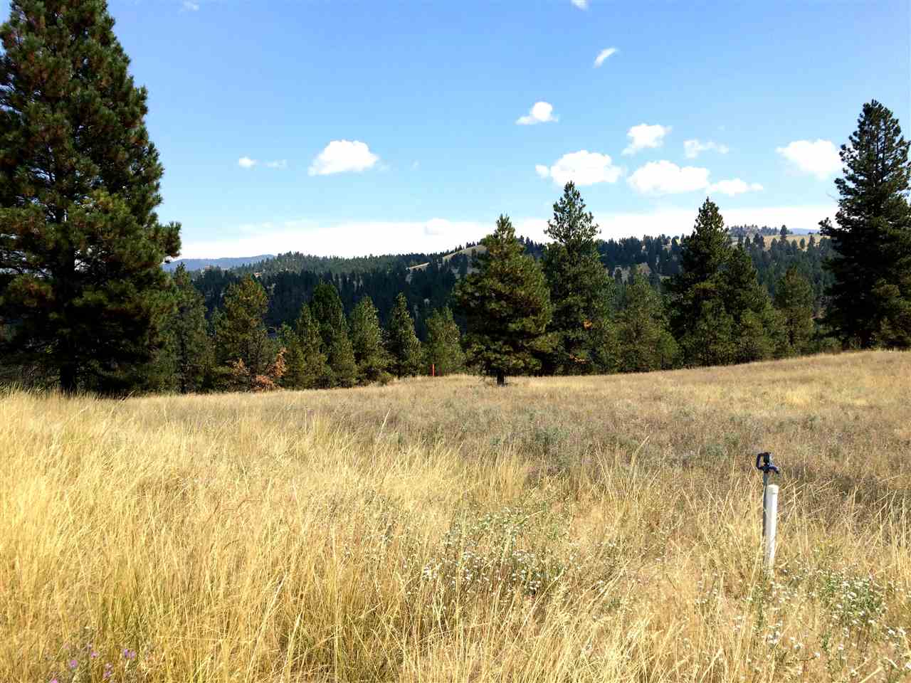 4 Rodems, Jefferson City, MT 59634