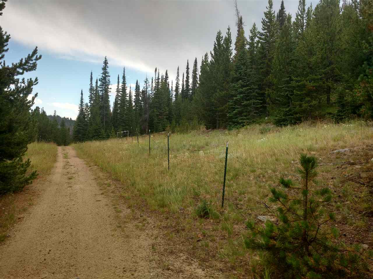 Silver Pick, Silver Pick Extension, Clancy, MT 59634