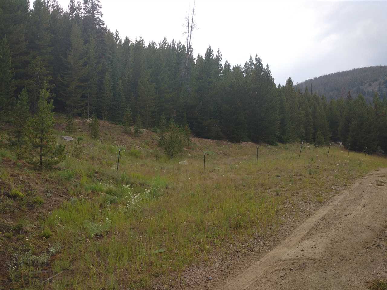 Silver Pick, Silver Pick Extension, Clancy, MT 59634