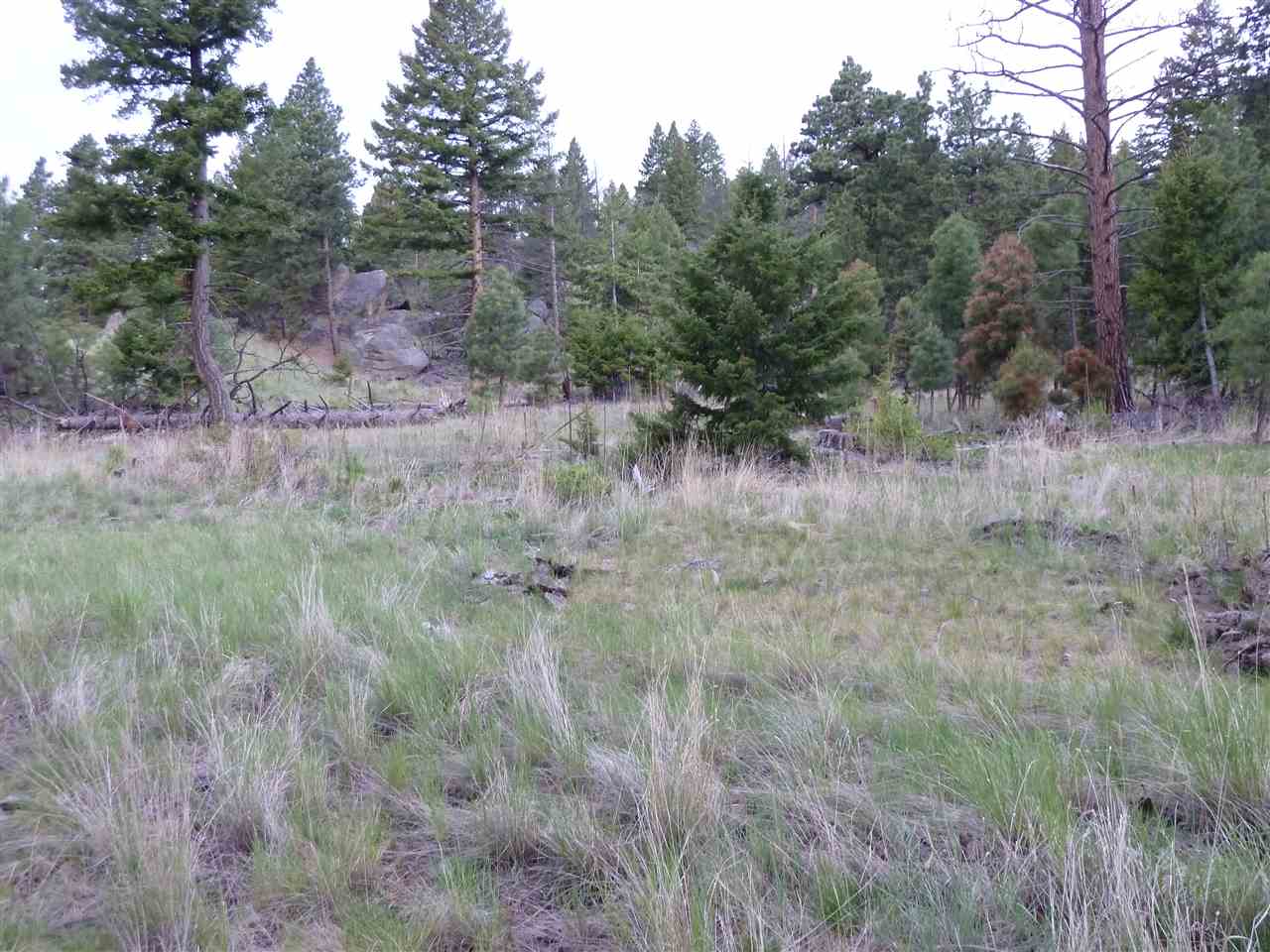 Sheep Mountain Estates, Clancy, MT 59634