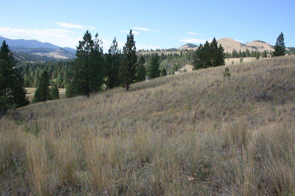 TBD Edward Lane, Clancy, MT 59634