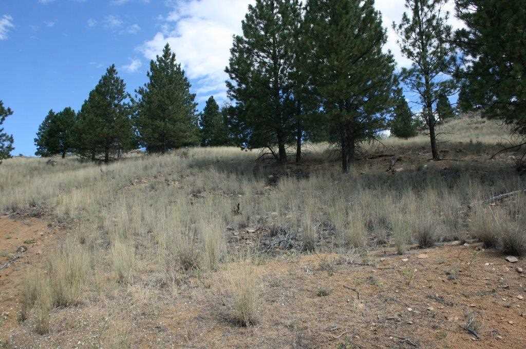 TBD Edward Lane, Clancy, MT 59634