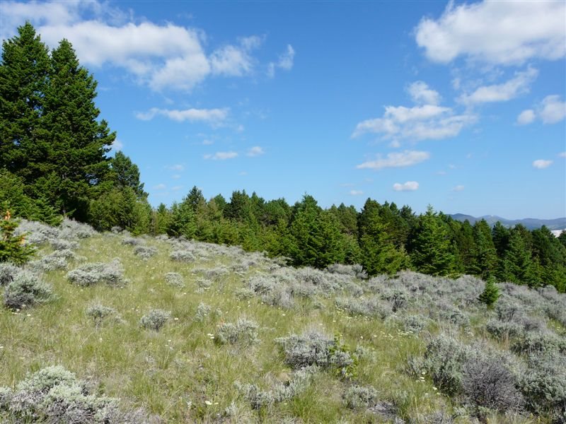 TBD Beavertown Rd, Jefferson City, MT 59638