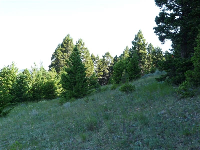 TBD Beavertown Rd, Jefferson City, MT 59638