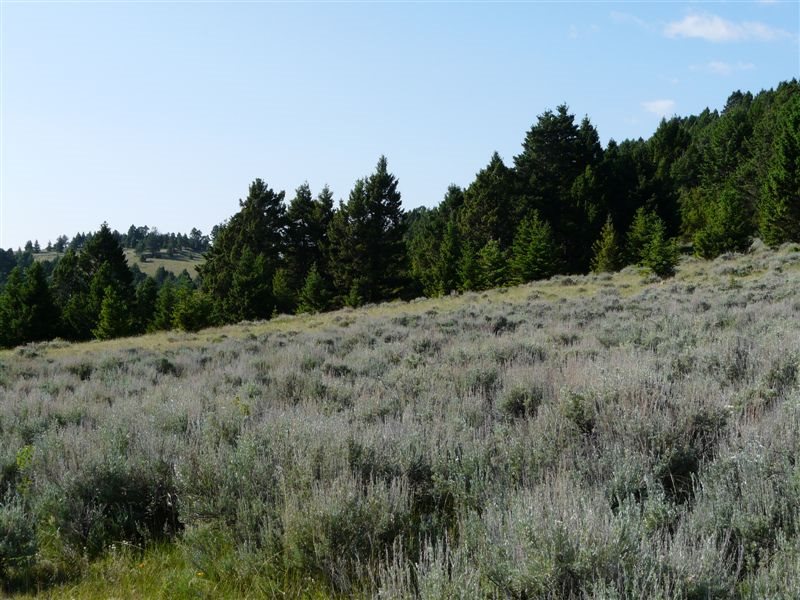 TBD Beavertown Rd, Jefferson City, MT 59638