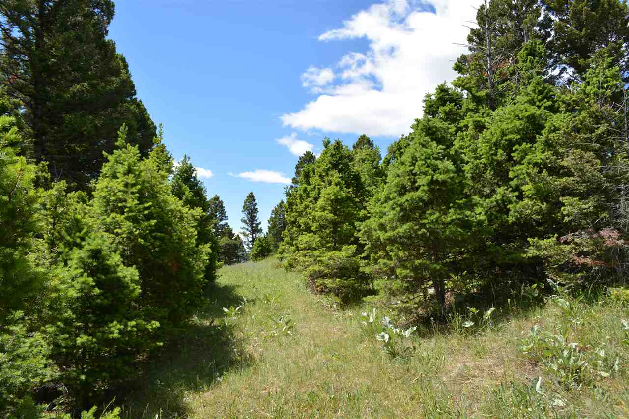 TBD Finn Gulch, Jefferson City, MT 59638