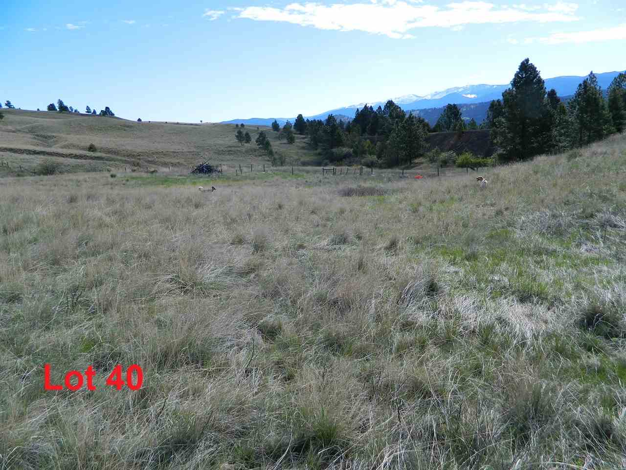 128 Wild Rose Rd, Jefferson City, MT 59638