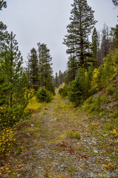 Elk Meadows 15 Charlie Rd, Lincoln, MT 59639