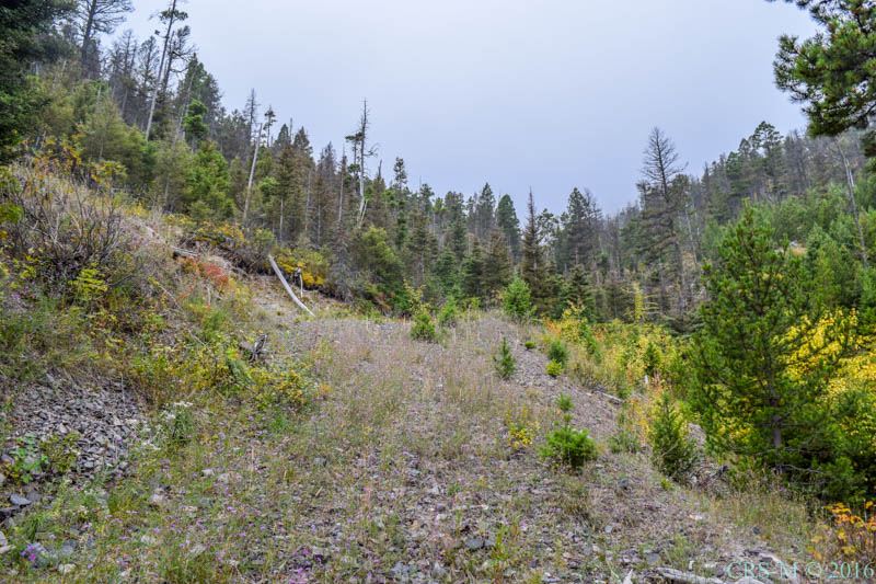 Elk Meadows 15 Charlie Rd, Lincoln, MT 59639