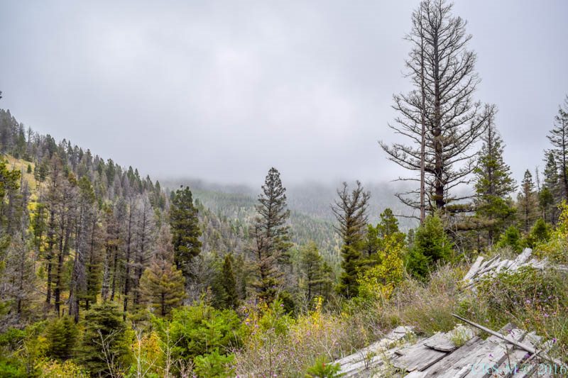 Elk Meadows 15 Charlie Rd, Lincoln, MT 59639