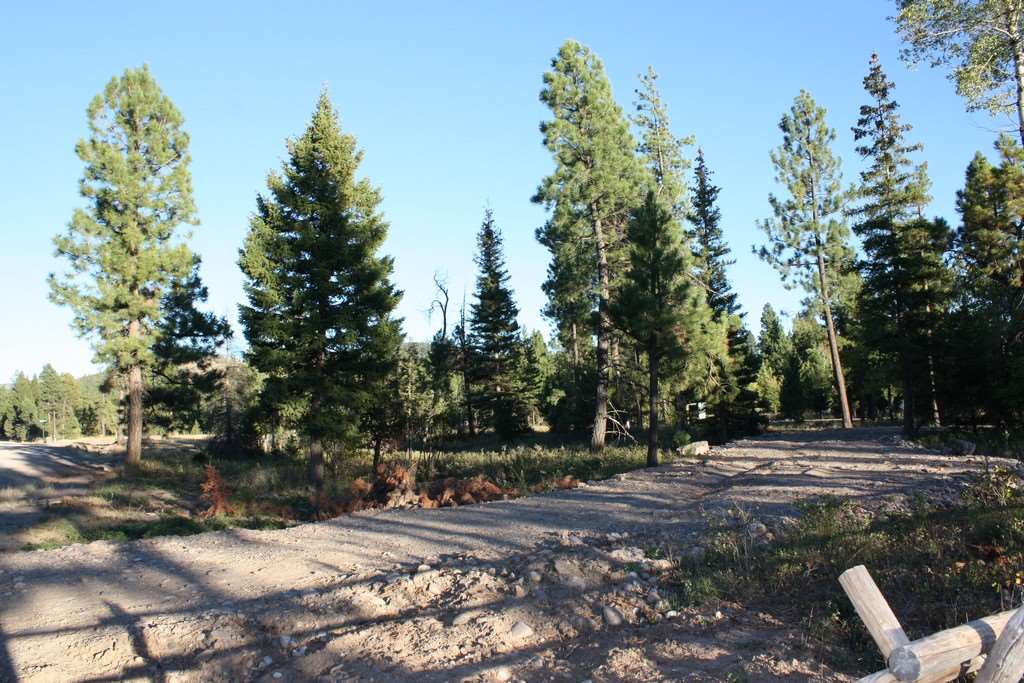 4129 Abe Lincoln Road, Lincoln, MT 59639