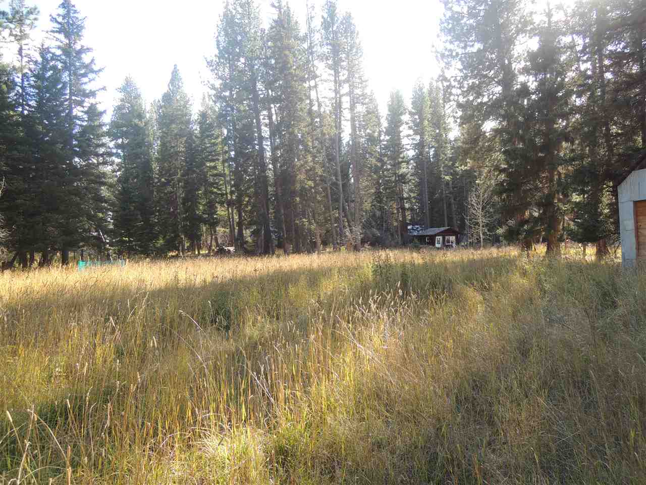 231 Seventh Ave., Lincoln, MT 59639
