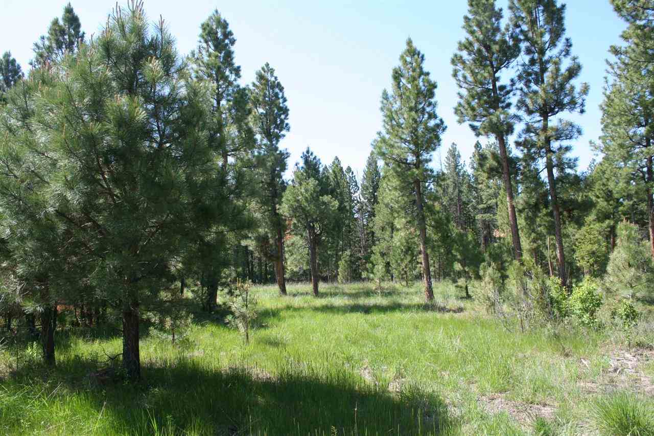 4539 Patterson Loop, Lincoln, MT 59639