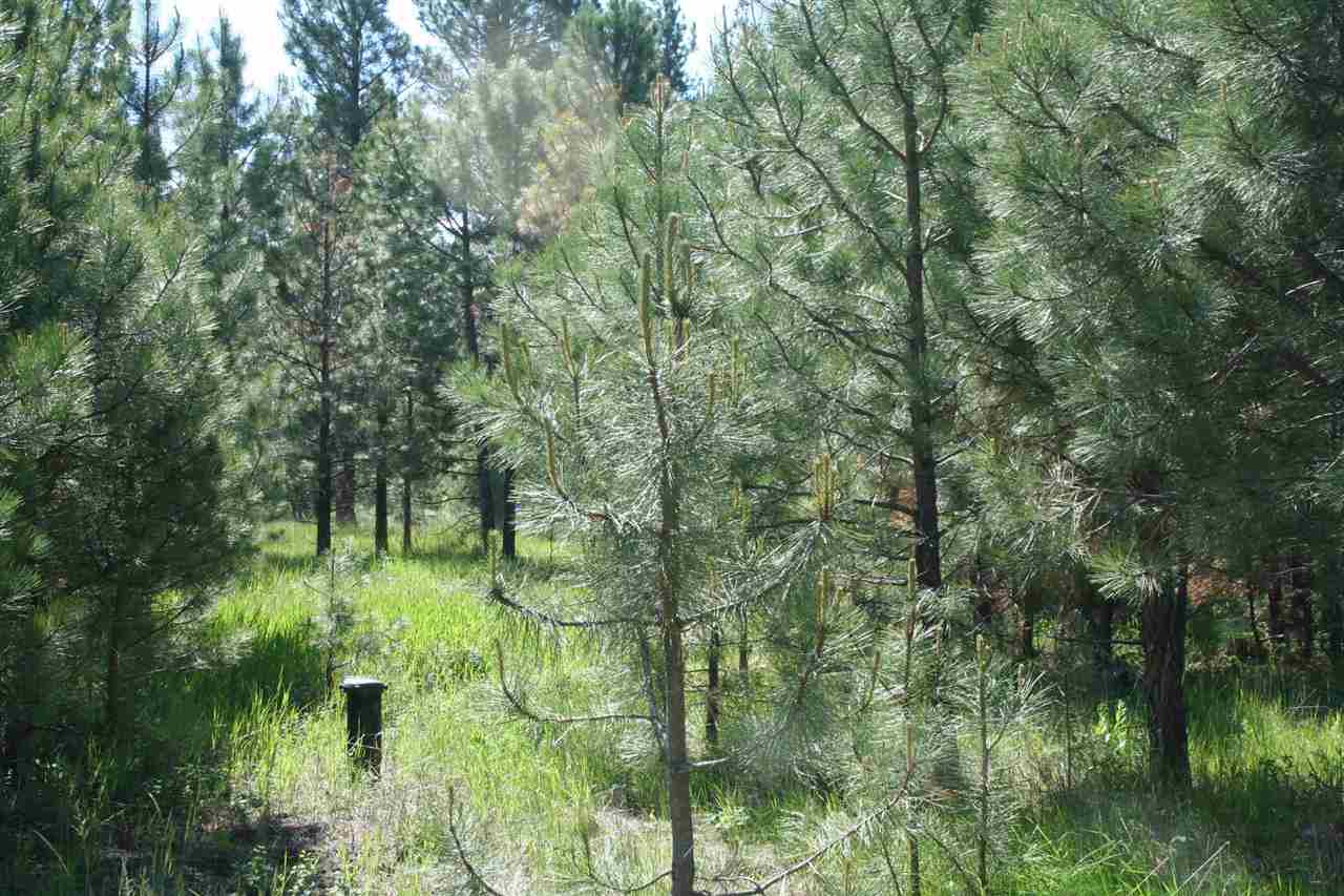 4539 Patterson Loop, Lincoln, MT 59639