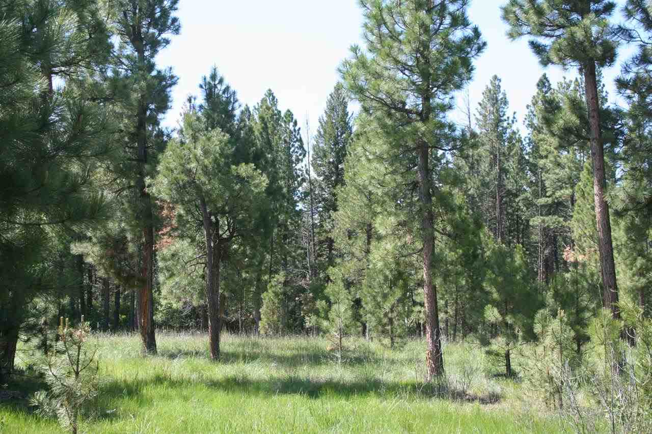 4539 Patterson Loop, Lincoln, MT 59639