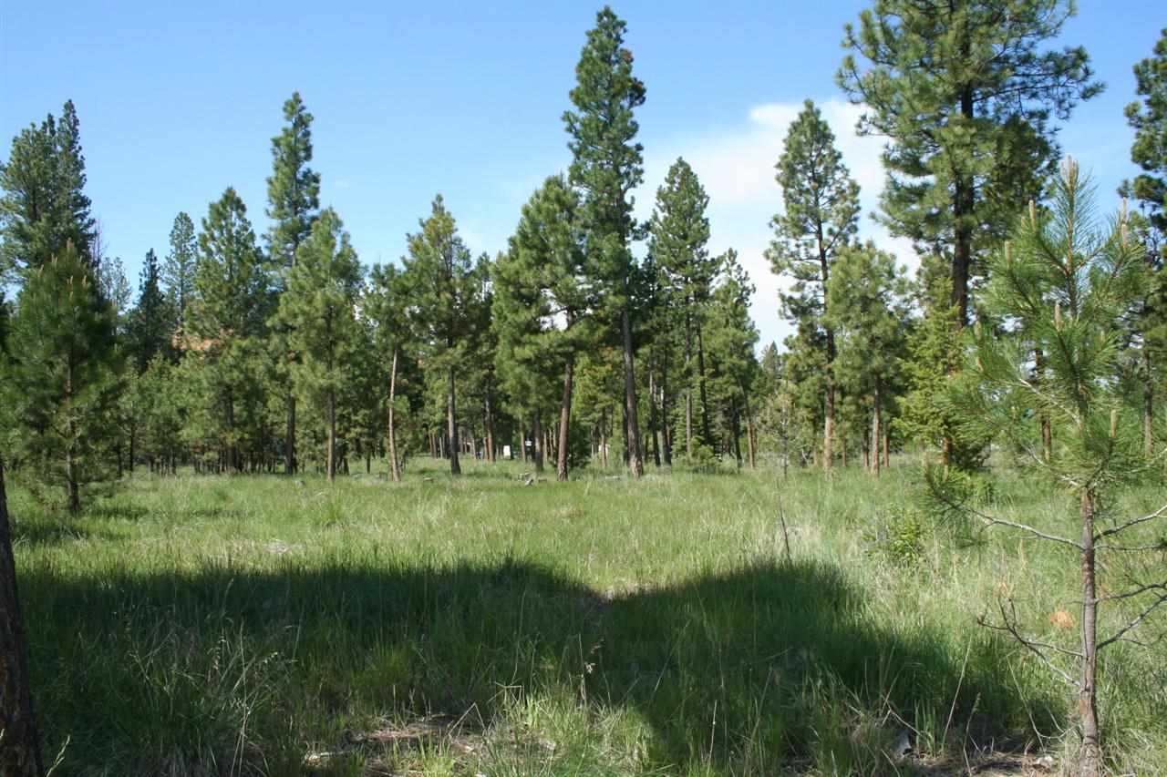 4539 Patterson Loop, Lincoln, MT 59639