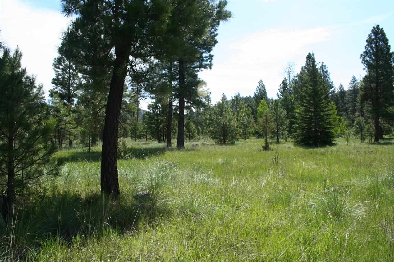 4539 Patterson Loop, Lincoln, MT 59639