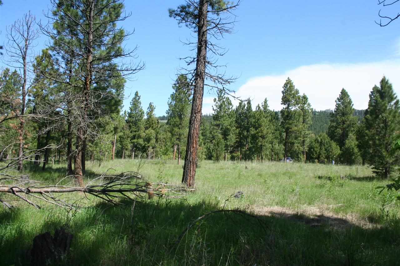 4539 Patterson Loop, Lincoln, MT 59639