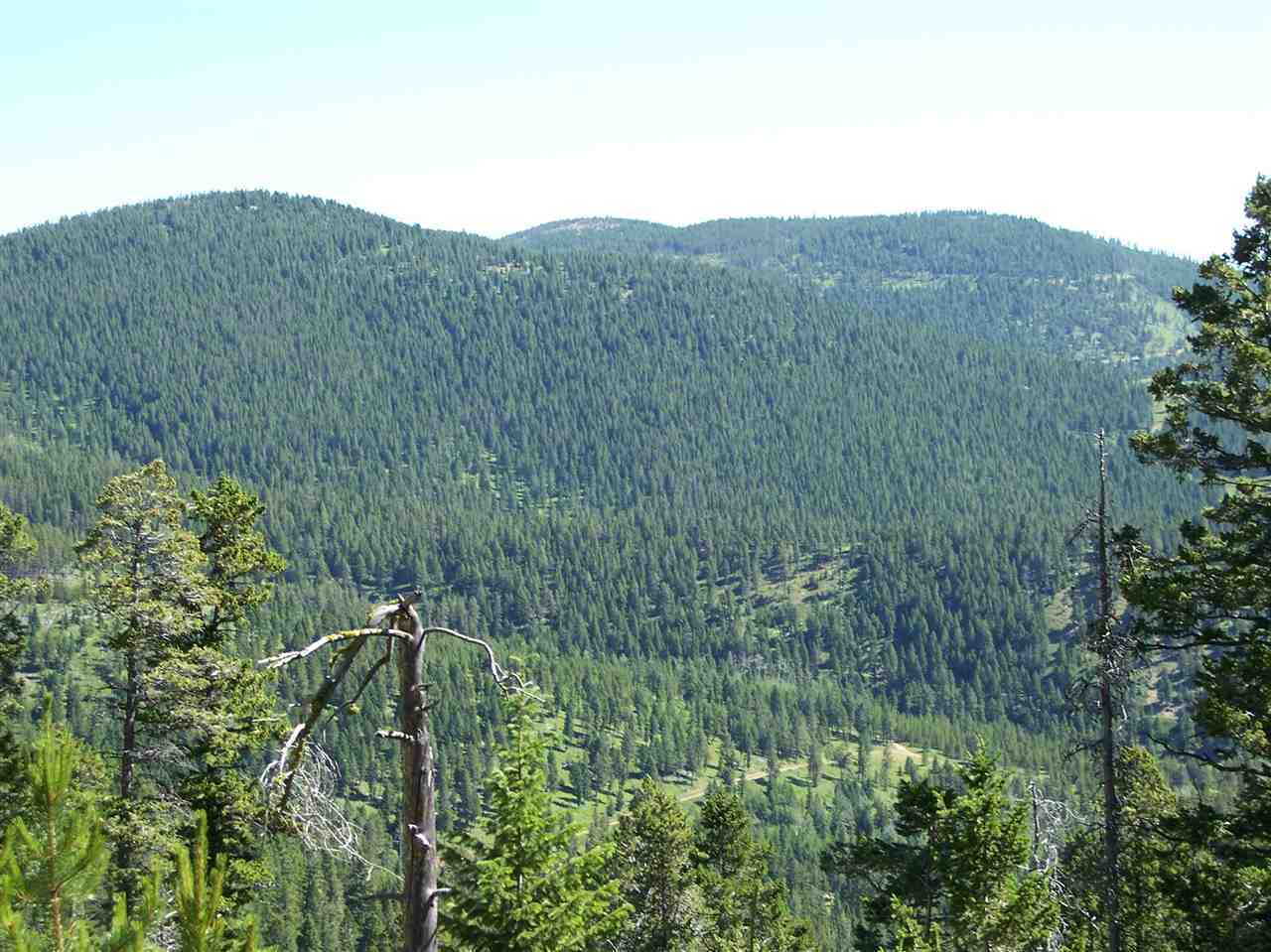 4 Teacher Trl, Lincoln, MT 59639