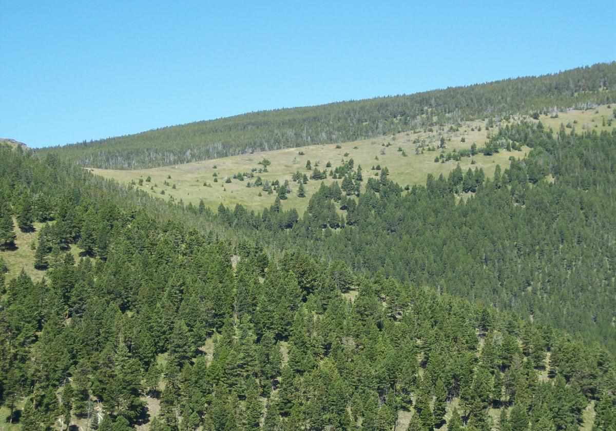 4 Teacher Trl, Lincoln, MT 59639