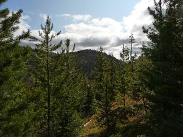 TBD Fool Hen Road, Lincoln, MT 59639