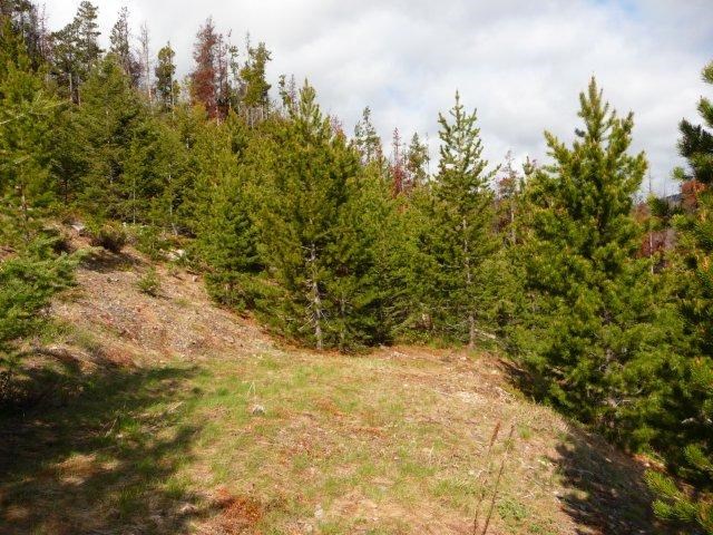 TBD Fool Hen Road, Lincoln, MT 59639