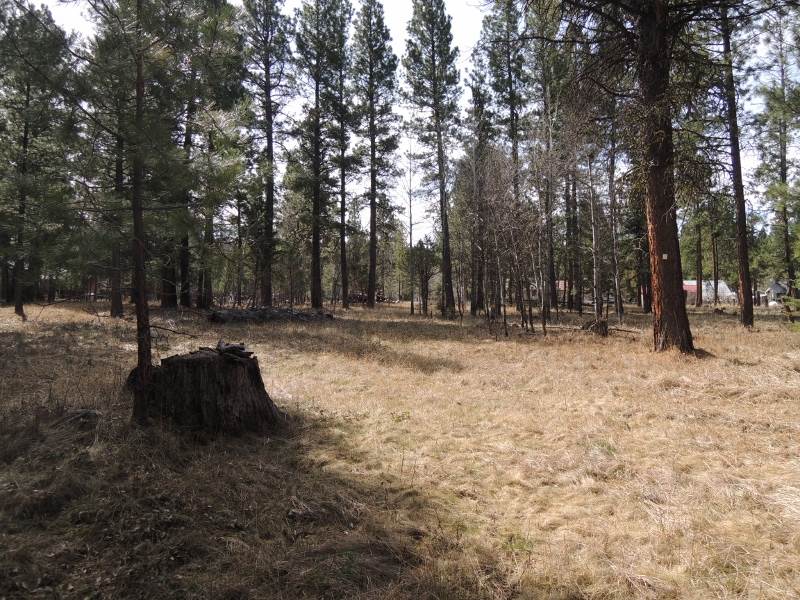 4403 Snow Fleury Lane, Lincoln, MT 59639