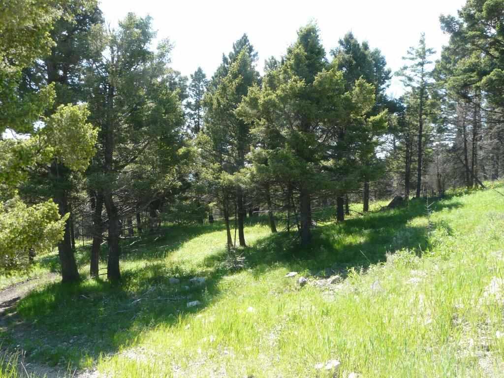 Prentice Lode, Marysvl/Cnyn Cr, MT 59640