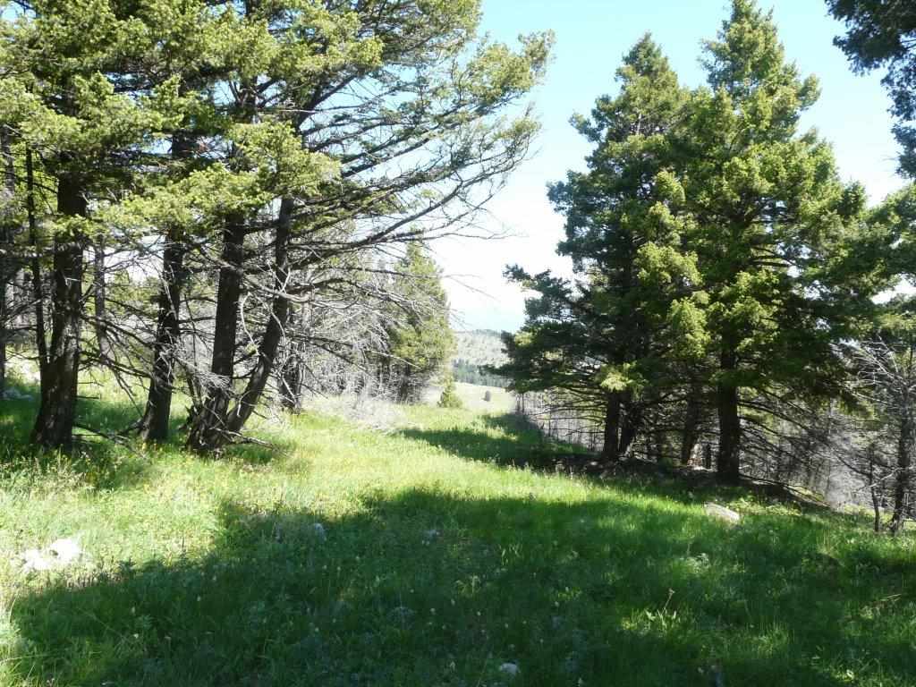 Prentice Lode, Marysvl/Cnyn Cr, MT 59640