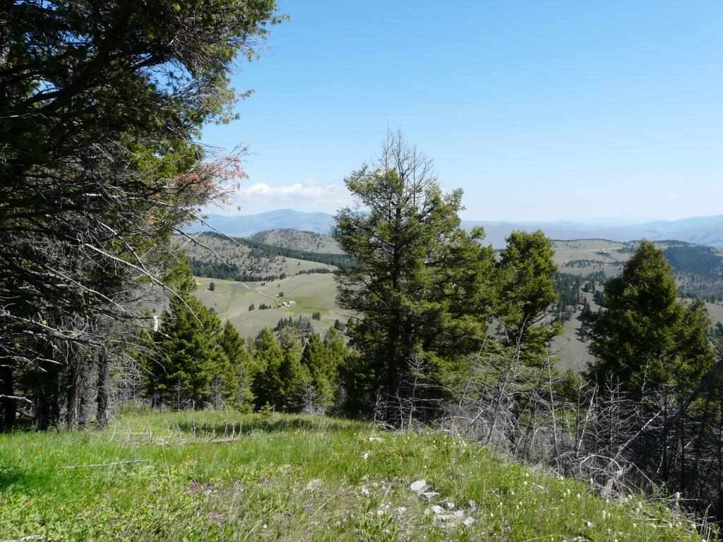 Prentice Lode, Marysvl/Cnyn Cr, MT 59640