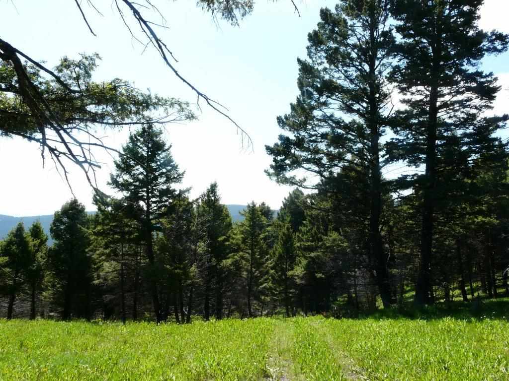Prentice Lode, Marysvl/Cnyn Cr, MT 59640