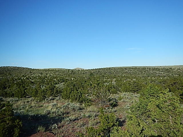TBD Old Woman&#039;s Grave Road, Radersburg, MT 59641
