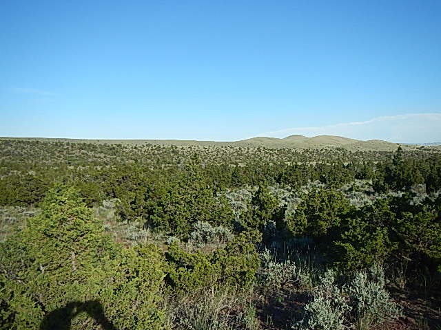 TBD Old Woman's Grave Road, Radersburg, MT 59641