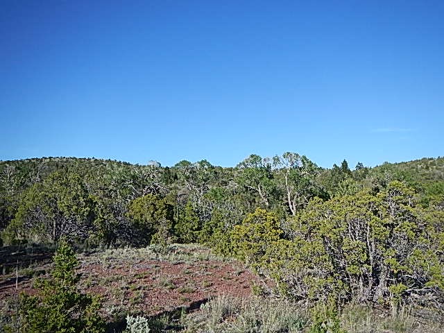 TBD Old Woman&#039;s Grave Road, Radersburg, MT 59641