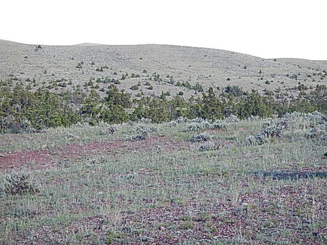 TBD Old Woman&#039;s Grave Road, Radersburg, MT 59641