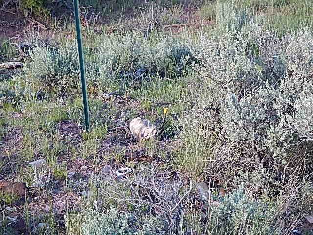 TBD Old Woman's Grave Road, Radersburg, MT 59641