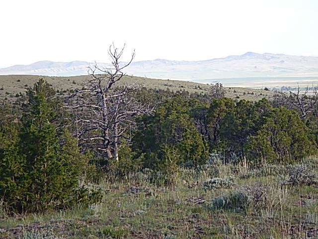 TBD Old Woman's Grave Road, Radersburg, MT 59641