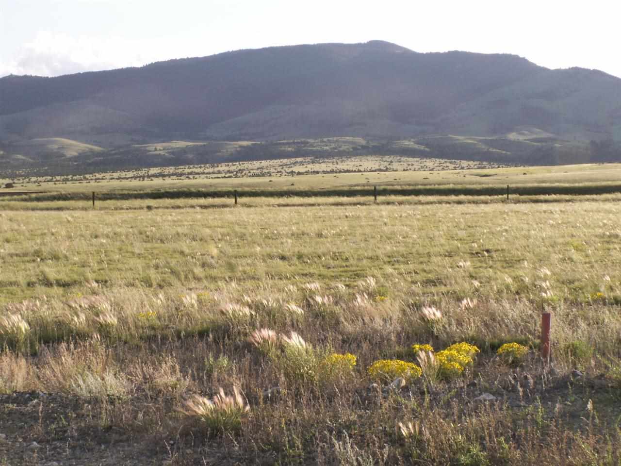 Lot 8 Longhorn Crossing, Townsend, MT 59644