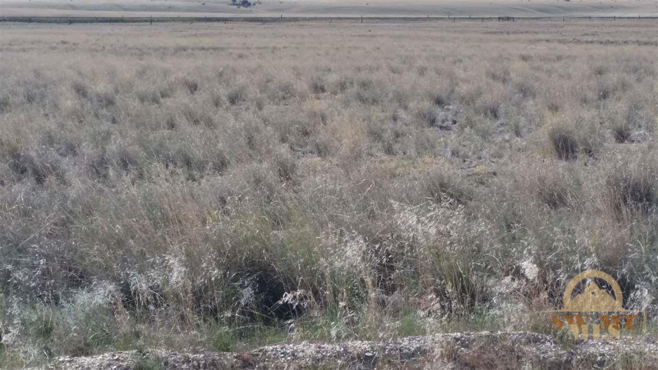 TBD Pronghorn, Townsend, MT 59644