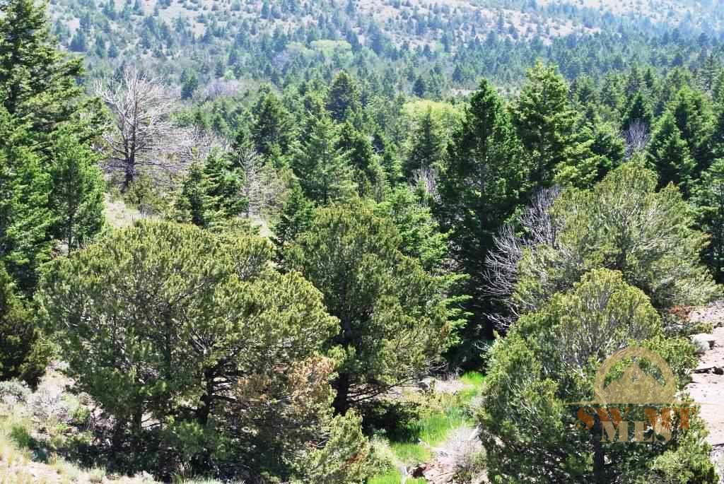 Indian Creek, Townsend, MT 59644